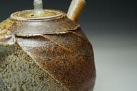 Wood salt fired teapot with cut sided and heavy salt glazed surface.